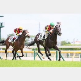新馬戦から将来が約束されていた⁉