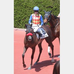 藤岡はテーオールビー推し