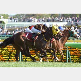 17年は12番人気モズカッチャンが3連勝で重賞初V