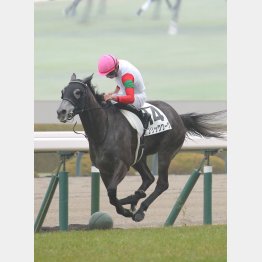 初ブリンカーで一変