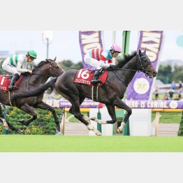 昨秋の富士Sを快勝