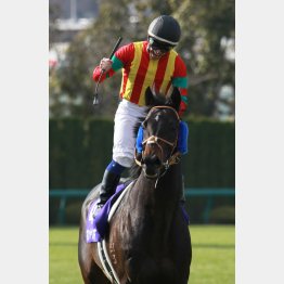 日本で高松宮記念を勝利しているリスポリ