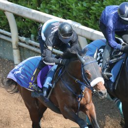 【天皇賞・春】ブローザホーン再びビッグタイトルを