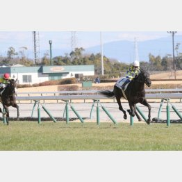 初戦は5馬身差の圧勝劇