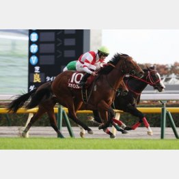 2歳時には同舞台でGⅡ勝ち