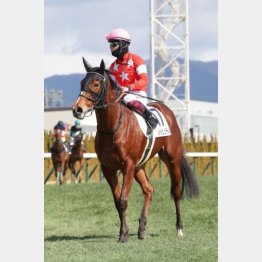 新馬戦を好内容V