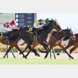 クロッカスSを差し切り