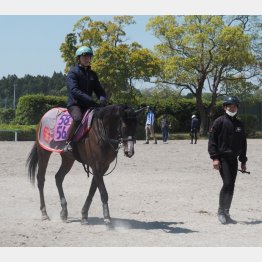オークス出走へ準備万端
