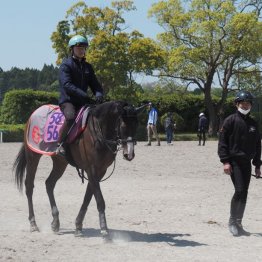 【木津の土曜競馬コラム・スイートピーＳ】