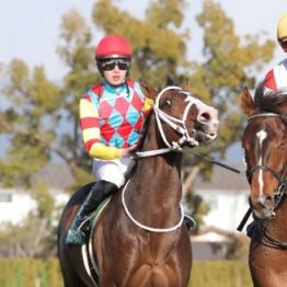【武田の土曜競馬コラム・京王杯スプリングＣ】