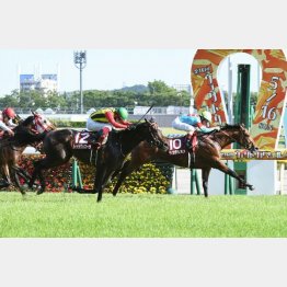 21年のこのレースで②着