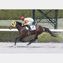 前走が強かった