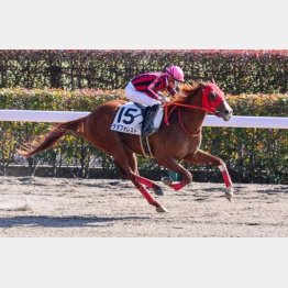 1勝クラスもこの舞台で勝った