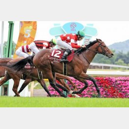 一昨年のこのレースで重賞初制覇