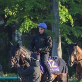 【天皇賞・春】出走全馬の特選情報
