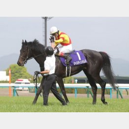 一昨年の覇者が再び輝く