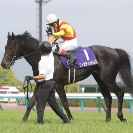 【市川の日曜競馬コラム・天皇賞】