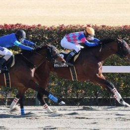 【飯島の日曜競馬コラム・ブリリアントＳ】