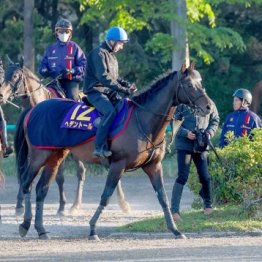 【新居の日曜競馬コラム・天皇賞】