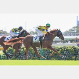 デビュー2戦目は芝で②着