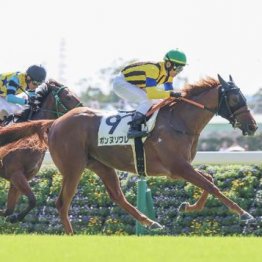 【木津の日曜競馬コラム・東京１Ｒ】