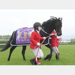 一昨年の勝ち馬がここで復活だ