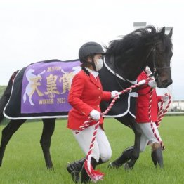 【大谷の日曜競馬コラム・天皇賞】