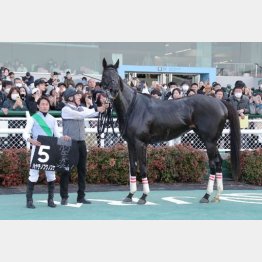 前走Vの勢いで一気にGⅠ取りだ