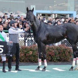 【武田の日曜競馬コラム・天皇賞】