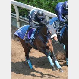 坂路で今年の自己最速をマーク