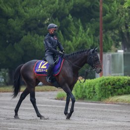 中間の気配も文句なし