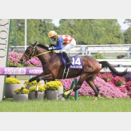 昨年はテーオーロイヤルが1番人気に応えて完勝