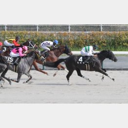 浜松S快勝でオープン入り