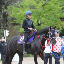【天皇賞】◎ハヤテノフクノスケ　大一番で末脚爆発