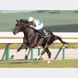 前走は②着馬に5馬身差