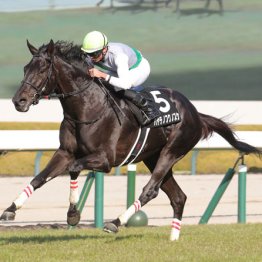【天皇賞】◎ハヤテノフクノスケ　父譲りの成長力　最高潮でＧⅠへ