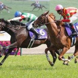 【天皇賞】ヘデントールが人気に応えてＧⅠ奪取