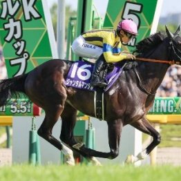 【ＮＨＫマイルＣ】中心は２歳ＧⅠ馬アドマイヤズーム