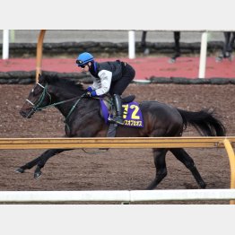 ランスオブカオスは水曜Cウッドで1F11秒2