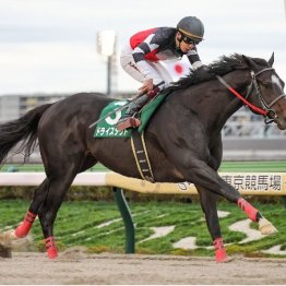 〈111〉エコロヴァルツ、シランケドが活躍中の牧浦充徳調教師（３）
