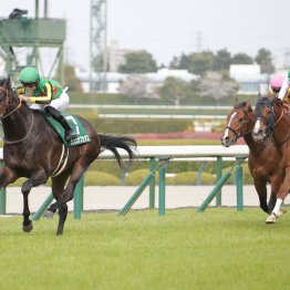 【ＮＨＫマイルＣ】「ボクがこの馬のことは一番理解している」 ランスオブカオスでＧⅠ取りに挑む１９歳　吉村誠之助騎手