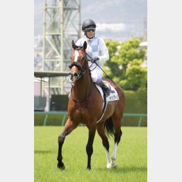 1勝クラス勝ちはとんでもない時計だった