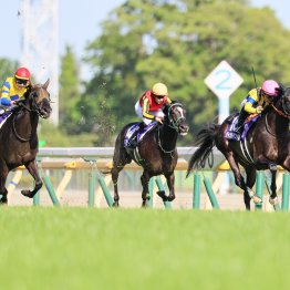 【ＮＨＫマイルＣ】荒れるという定評は本当か　過去の傾向から勝ち馬を大分析　絞りに絞ると今年の該当馬は５頭だけ！？