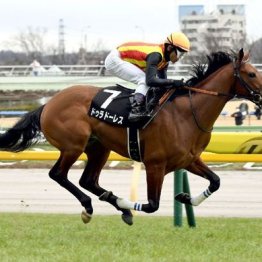 【市川の土曜競馬コラム・エプソムＣ】