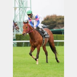 2連勝で完全復活