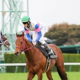 【大谷の土曜競馬コラム・エプソムＣ】