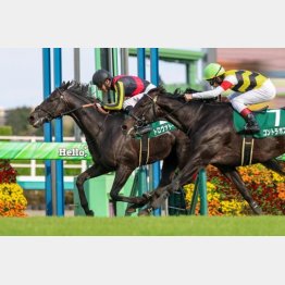 重賞で価値ある②着(右)