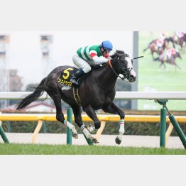 古馬になり素質馬が本格化