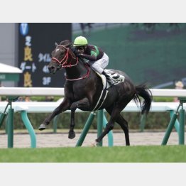 札幌千八でソダシのレコードを更新