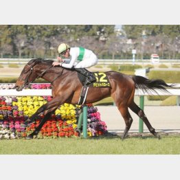 手術明け2戦目の大阪城Sを快勝